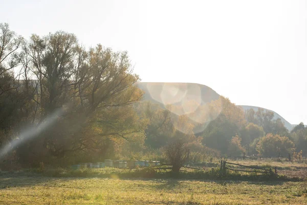 Beehives Stand Garden Trees Picturesque Place Bright Rays Sun Clear — Stock Photo, Image