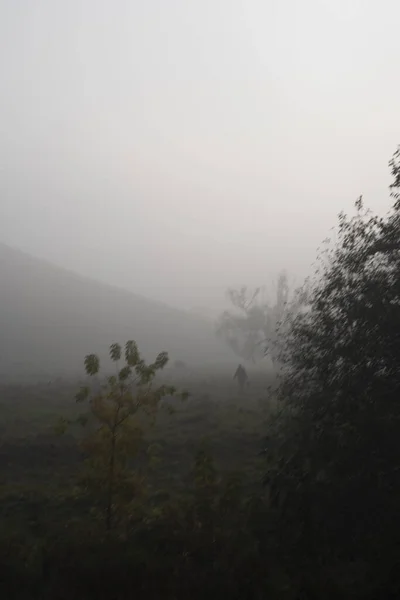 A woman walks after the morning milking with a bucket in her hands. Foggy day in a field with trees and hills. Blurry atmospheric photo.