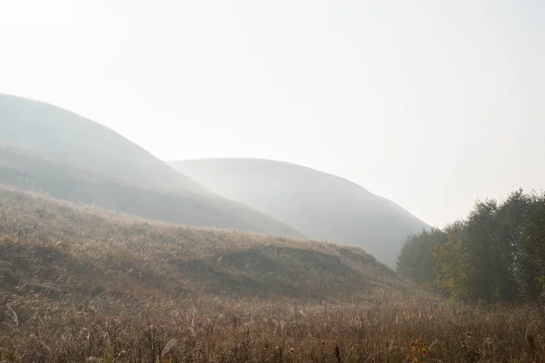 Leichter Nebel Über Den Hügeln Das Gras Wächst Landschaft — Stockfoto