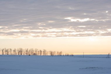 Kış günü tarlalarda ve tepelerde at sırtında bir adam. Solo izin gününde yürür. Hobi.