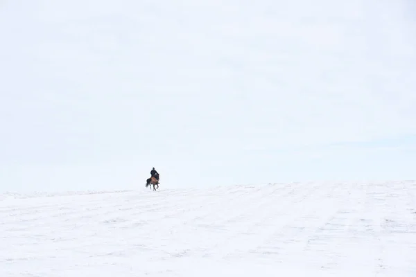 Ein Mann Auf Dem Pferderücken Einem Wintertag Den Feldern Und — Stockfoto