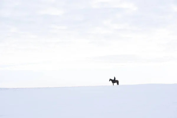 Ein Mann Auf Dem Pferderücken Einem Wintertag Den Feldern Und — Stockfoto