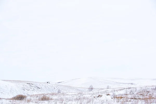 남자가 겨울에 들판과 언덕에서 솔로는 다닌다 — 스톡 사진
