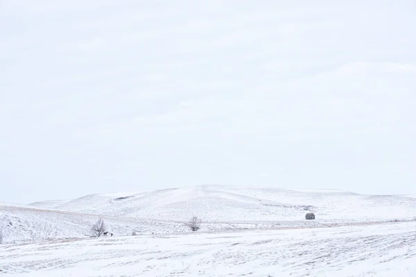Man Horseback Winter Day Fields Hills Solo Walks Day Hobby — Stock Photo, Image
