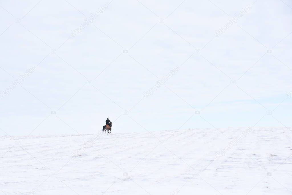 A man on horseback on a winter day in the fields and hills. Solo walks on a day off. Hobby.