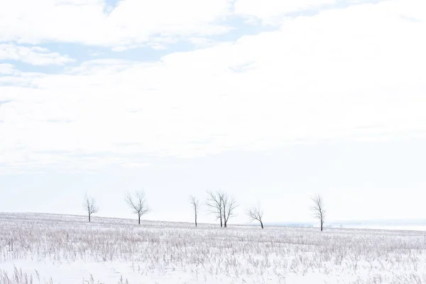Winter Rural Icy Snowy Landscape Fields Hills Trees Covered Snow — 스톡 사진