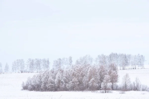 Winter Rural Icy Snowy Landscape Fields Hills Trees Covered Snow — 스톡 사진