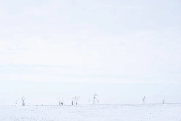 Зимний Ледяной Снежный Пейзаж Поля Холмами Деревьями Покрытым Снегом Россия — стоковое фото