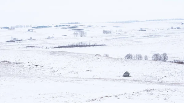 Winter Rural Icy Snowy Landscape Fields Hills Trees Covered Snow — ストック写真