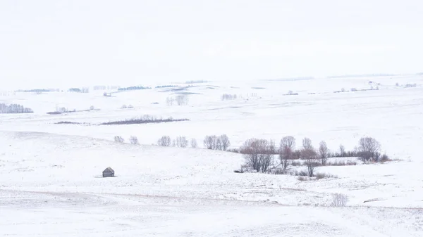 Winter Rural Icy Snowy Landscape Fields Hills Trees Covered Snow — 스톡 사진