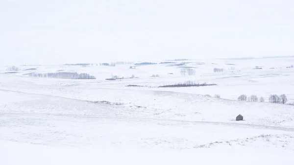 Winter Rural Icy Snowy Landscape Fields Hills Trees Covered Snow — 스톡 사진