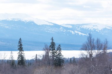 Kış manzarası. Kış dağı. Kış tatili Ural dağı.
