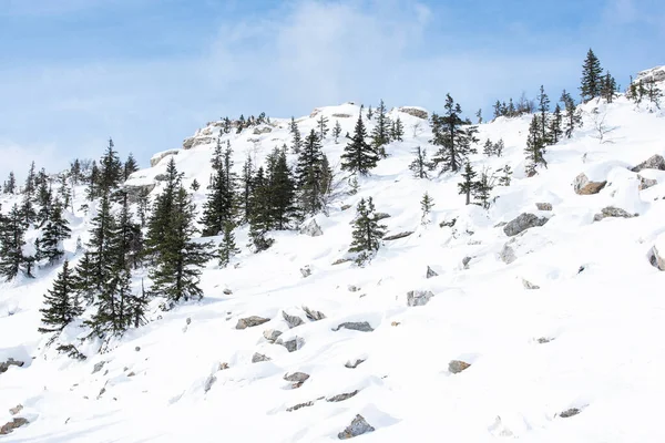 冬季风景 冬山寒假乌拉尔山 — 图库照片