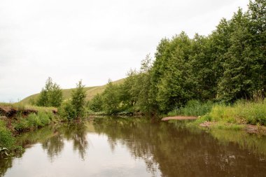 Yaz manzarası. Tarla, ağaçlar, gökyüzü ve nehir. Kırsal alan.