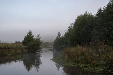 Küçük bir nehirde sisli bir sabah. Su yüzeyindeki ağaçların yansıması. Yaz.