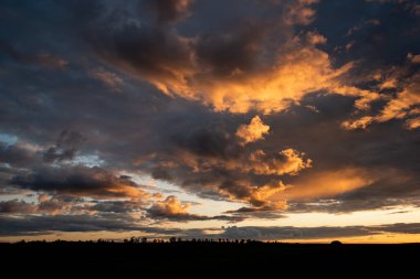 Bulutlar ve küçük ağaçlarla dolu renkli dramatik bir gün batımı. Güzel bir günbatımı tarafından aydınlatılmış ağaçların silueti