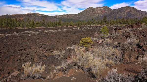 Bonito Lava Flow at Sunset Crater National Monument — Stock Photo, Image