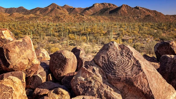 Hohokam petroglify w Signal Hill w Parku Narodowego Saguaro — Zdjęcie stockowe