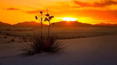 White Sands National Monument Sunset, New Mexico - Timelapse clipart