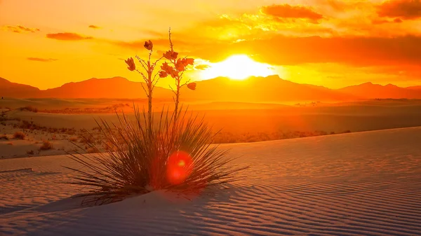 Monument national White Sands Coucher de soleil, Nouveau-Mexique Timelapse Image En Vente