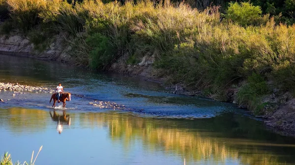 Ruiter in de Rio Grande rivier bij Big Bend National Park Stockfoto