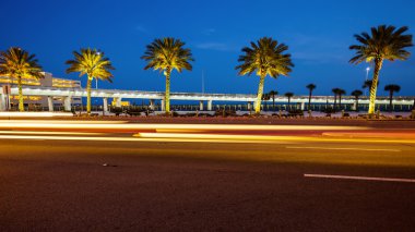 Biloxi, Mississippi Palm Trees and Traffic at Night clipart