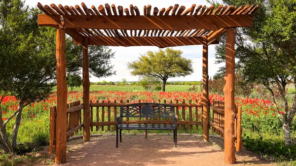 テキサスの花庭のベンチ ストックフォト