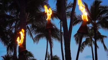 Tiki Torches Burning on Waikiki Beach at Night clipart