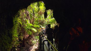 Tourists Enter the Thurston Lava Tube in Hawaii Volcanoes Nation clipart