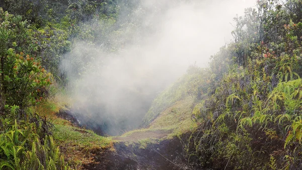 Vapore che sale dalla bocca nella giungla alle Hawaii Volcanoes National Pa — Foto Stock