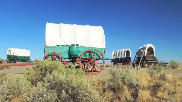 Täckt vagn tåg inringat i lägret längs Oregon Trail — Stockfoto