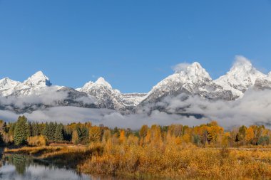 Tetons Güz