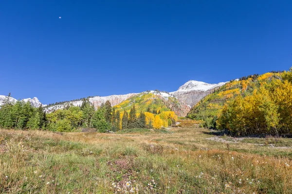 Colorado rockies jesienią — Zdjęcie stockowe