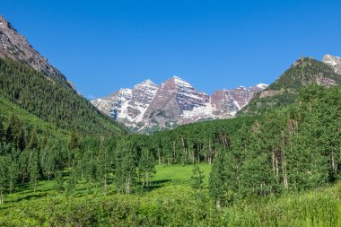 Kestane rengi çan yaz manzara