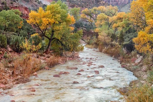 Paysage d'automne de la rivière Virgin — Photo