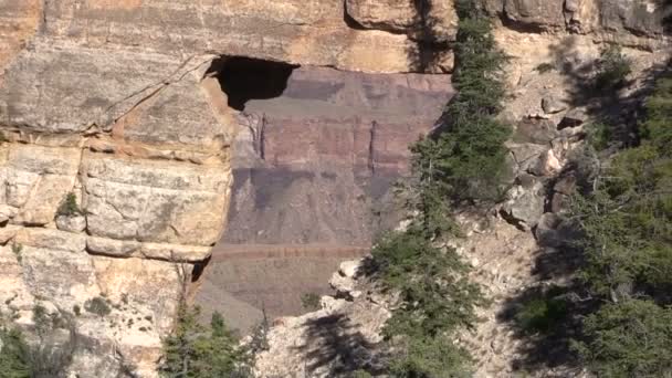 Észak-Rim Grand Canyon táj — Stock videók