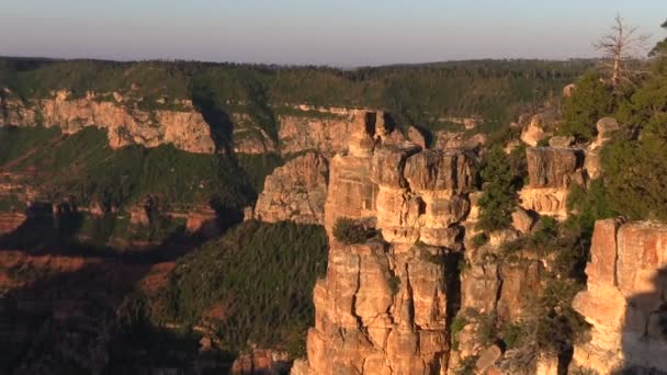 North Rim Wielkiego Kanionu krajobraz — Wideo stockowe