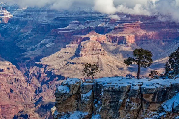 Winter in de Grand Canyon — Stockfoto