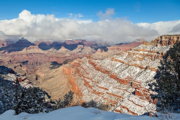 Invierno en el Gran Cañón —  Fotos de Stock