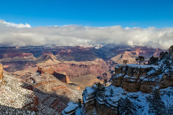 Hiver dans le Grand Canyon — Photo