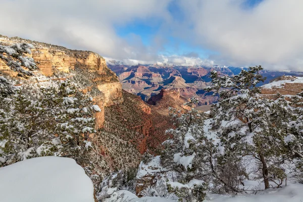 Grand Canyon inverno Cênico — Fotografia de Stock