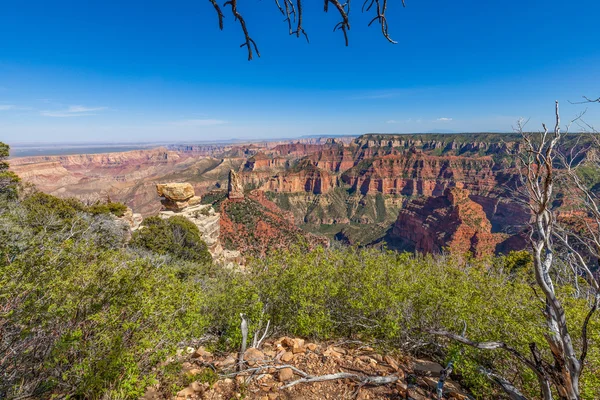 Grand Canyon North Rim landschap — Stockfoto