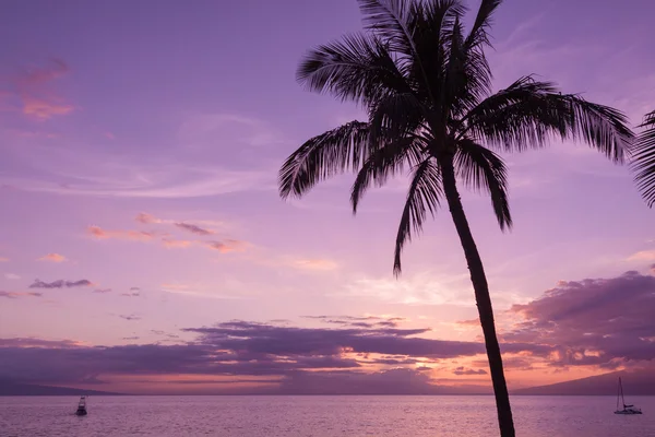 Tropischer hawaiianischer Sonnenuntergang — Stockfoto