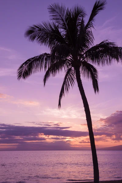 Pôr-do-sol tropical havaiano — Fotografia de Stock