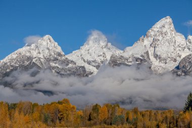 Tetons Güz