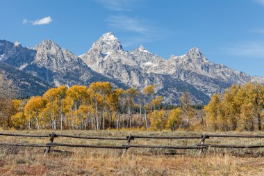 Teton sonbahar manzara