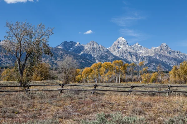 Teton Fall Landscape — Stock Photo, Image