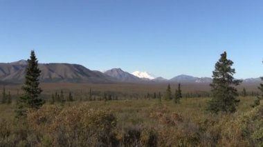 Denali Milli Parkı peyzaj