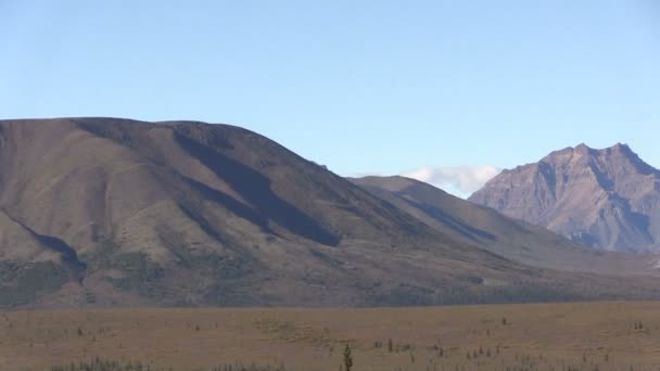 Parque Nacional de Denali Paisagem — Vídeo de Stock