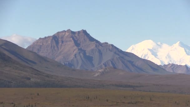 Denali-Nationalparklandschaft — Stockvideo